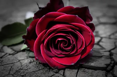 Illustration weltered - Image 1