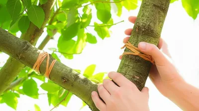 Illustration related - Image 1