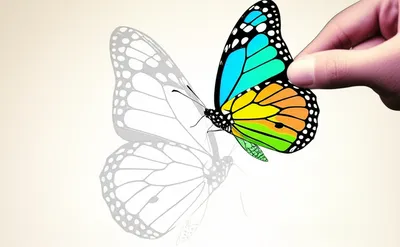 Illustration realizing