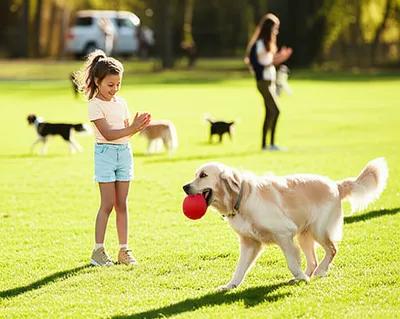 Illustration retrieves - Image 1