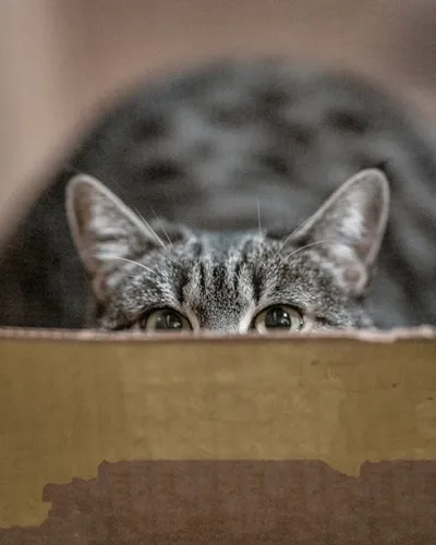 Illustration peeps - Image 2