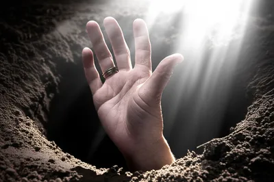 Illustration disinter - Image 1