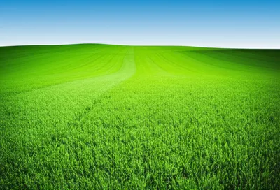 Illustration fairway - Image 1