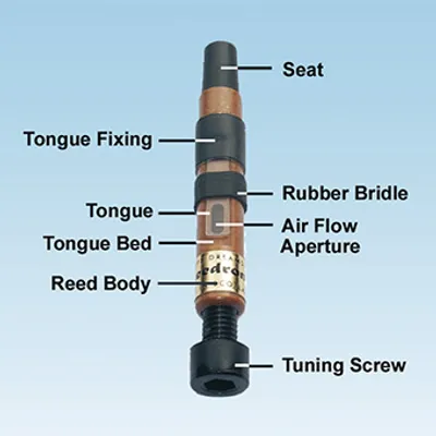 Illustration tongue - Image 2