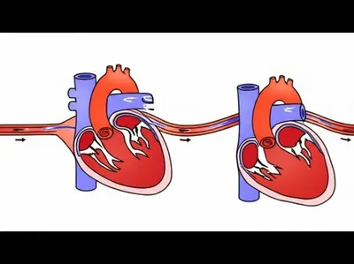 Illustration pulse - Image 1