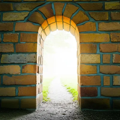 Illustration through - Image 1