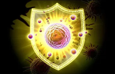 Illustration antioxidants - Image 2