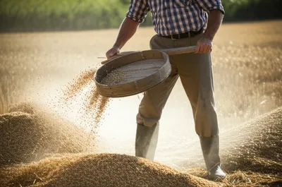 Illustration humble - Image 1