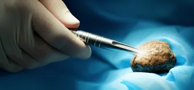 Illustration staff - Image 1