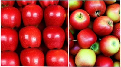 Illustration differentially - Image 1