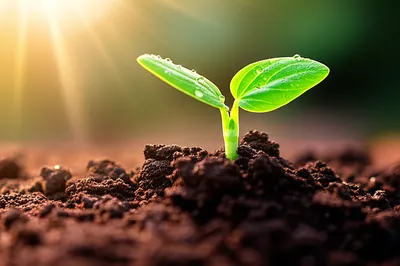 Illustration initialisation - Image 1