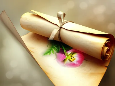 Illustration unfurling - Image 1