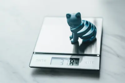 Illustration taels - Image 1