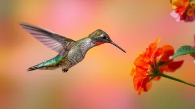 Illustration moments