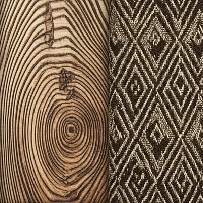 Illustration figs - Image 1