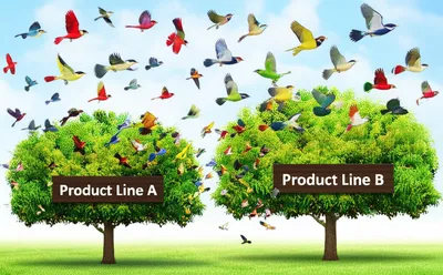 Illustration migrates - Image 1