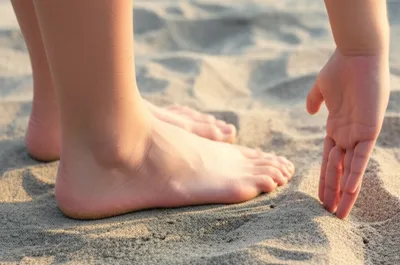 Illustration ventral - Image 1