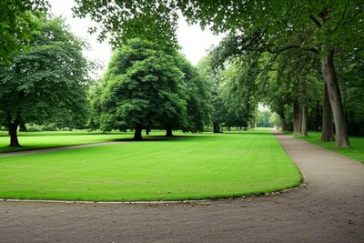 Illustration park - Image 1