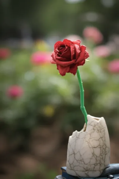 Illustration ersatz - Image 1