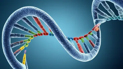 Illustration encoding - Image 1