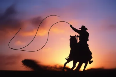 Illustration slashing - Image 1