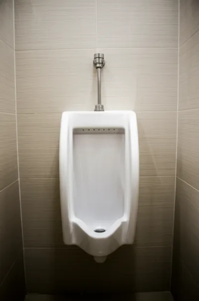 Illustration urinary - Image 1