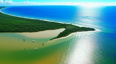 Illustration estuaries - Image 1