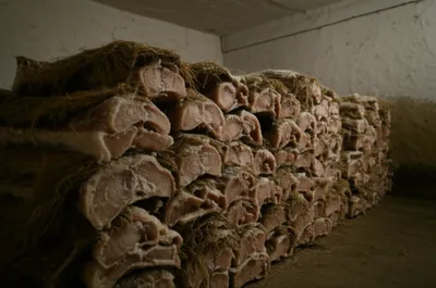 Illustration dun - Image 1