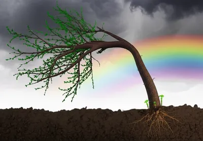 Illustration resilient - Image 1