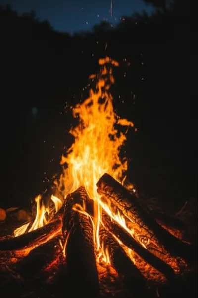 Illustration low - Image 1