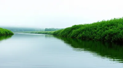 Illustration slew - Image 1