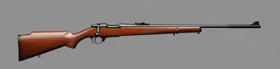 Illustration rifle - Image 1