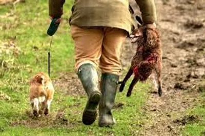 Illustration bag - Image 2