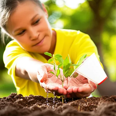 Illustration intended - Image 1