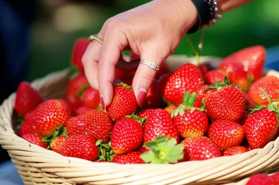 Illustration discriminating - Image 1