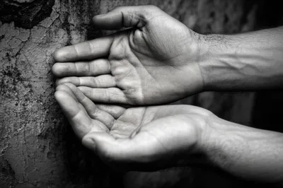 Illustration need - Image 1