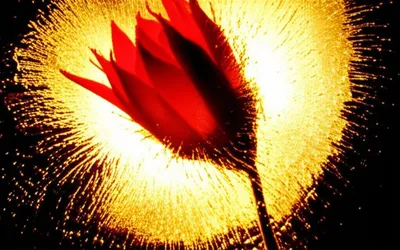 Illustration relents - Image 1