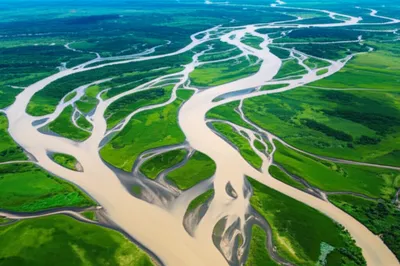 Illustration distributary - Image 1