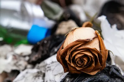 Illustration cunt - Image 1