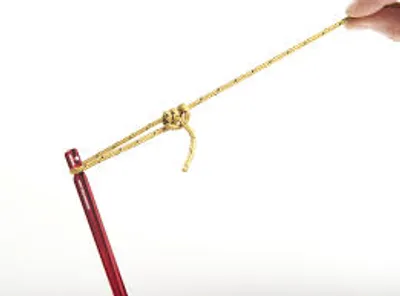 Illustration taut - Image 2