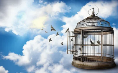 Hình ảnh minh họa discharges - Ảnh 1