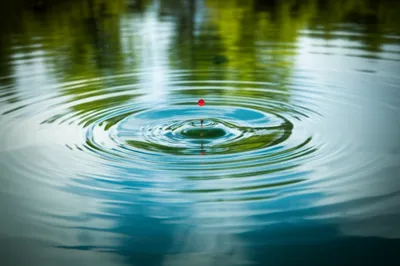 Illustration influenced - Image 1