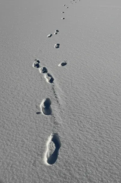 Illustration sequent - Image 1