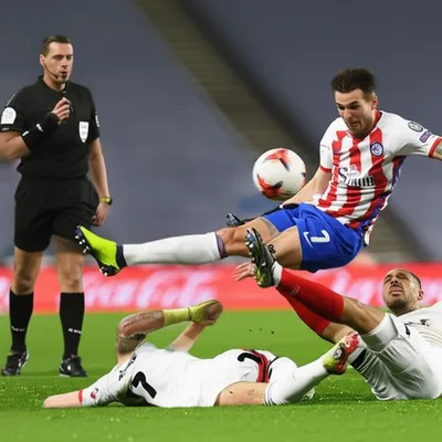 Illustration fouls - Image 1