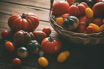 Illustration roma - Image 1