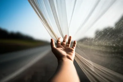 Illustration intends - Image 1