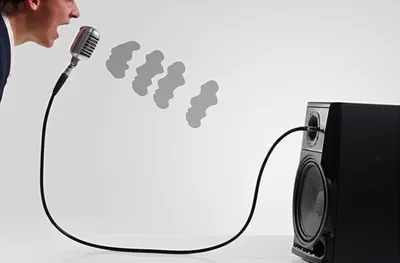 Illustration echoing - Image 1