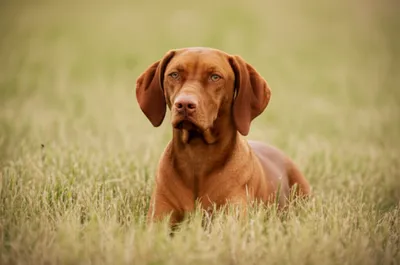 Illustration charged - Image 1