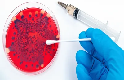 Illustration specimen - Image 1