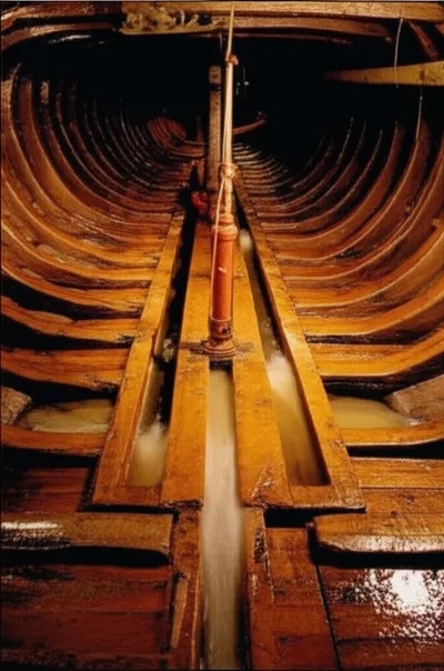 Illustration limbers - Image 1